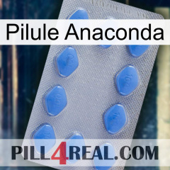 Anaconda Pill 21